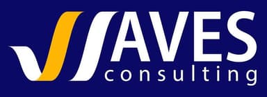 2 Wave Consulting logo